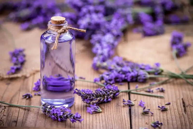 Cara Membuat Bunga Lavender dari Sedotan