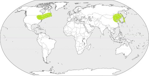 LAURENTIAN CLIMATE