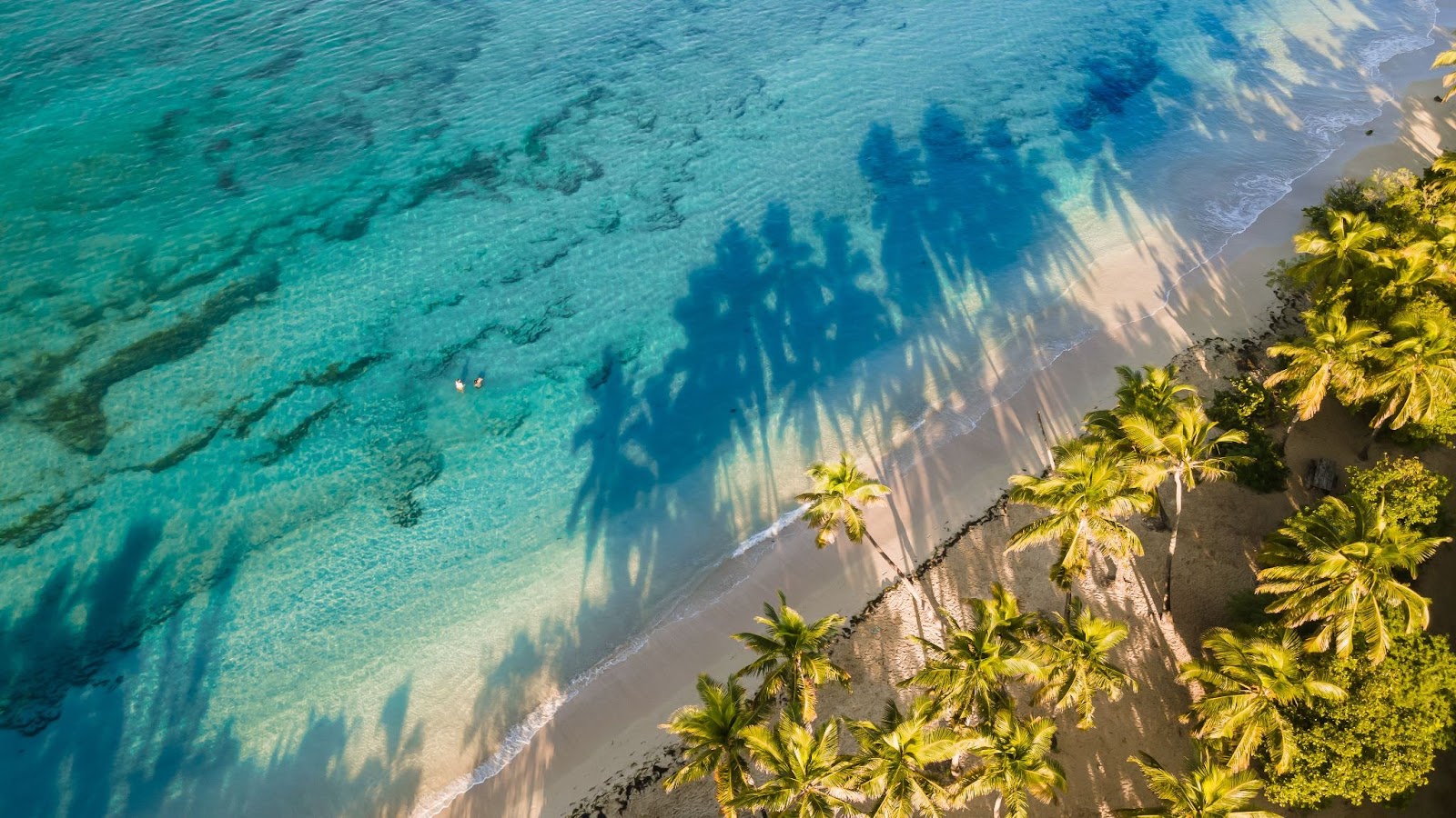 Plages à visiter en Martinique 