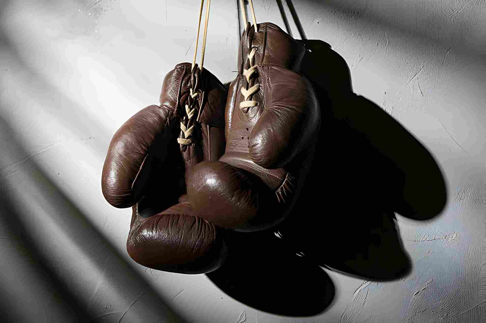 brown boxing gloves