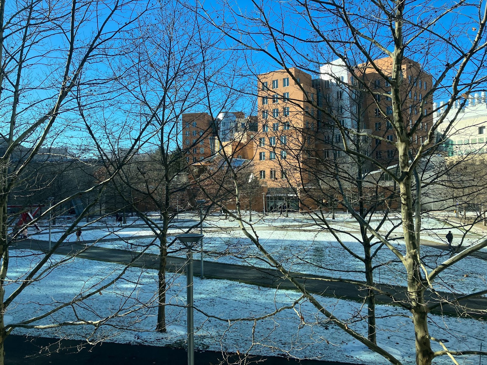 A wintry view, described above, of the Stata building across Hockfield Court.