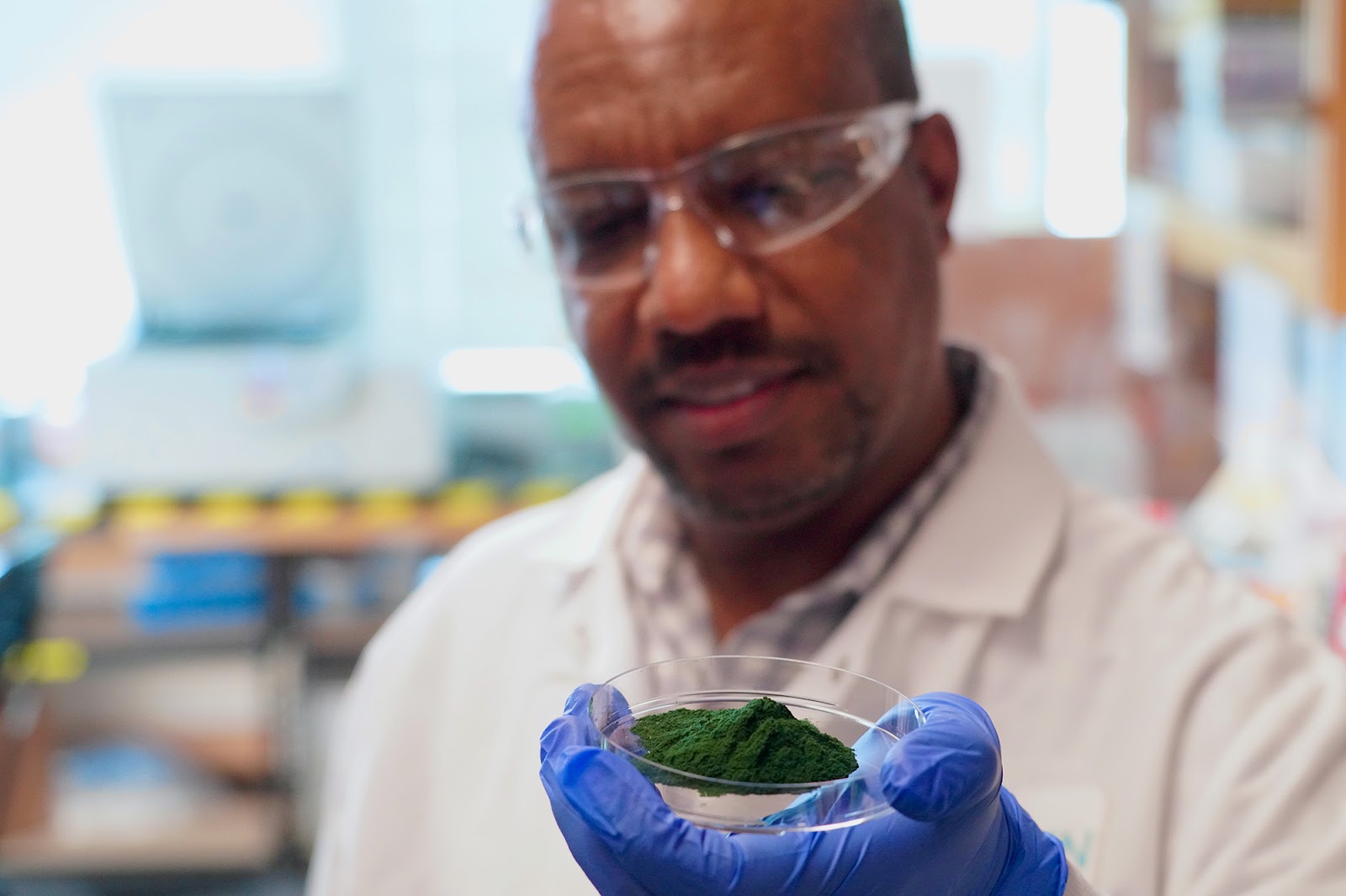 Credits: Lumen Biosciences. Mesfin Gewe, senior scientist at Lumen Bioscience, holds a dish filled with powdered spirulina cells, each with a therapeutic protein payload. To target methane gas, the spirulina will have been engineered to express the methanogen-targeting lysin protein. Once in the cow rumen, the protein will destroy the methanogen microbes.