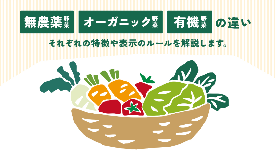 無農薬野菜・オーガニック野菜・有機野菜の違いは何？それぞれの特徴や表示のルールを解説します。