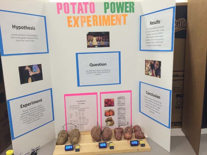 Potato Power Experiment - potato batteries with different types of potatoes.