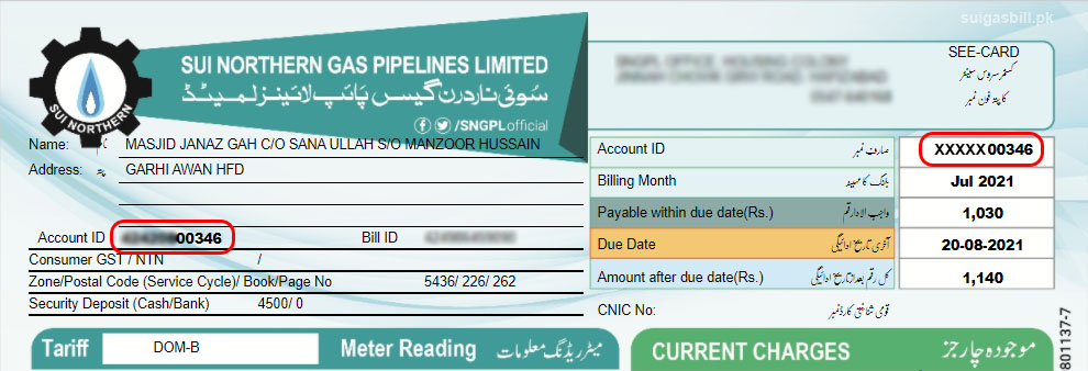 sngp consumer number
