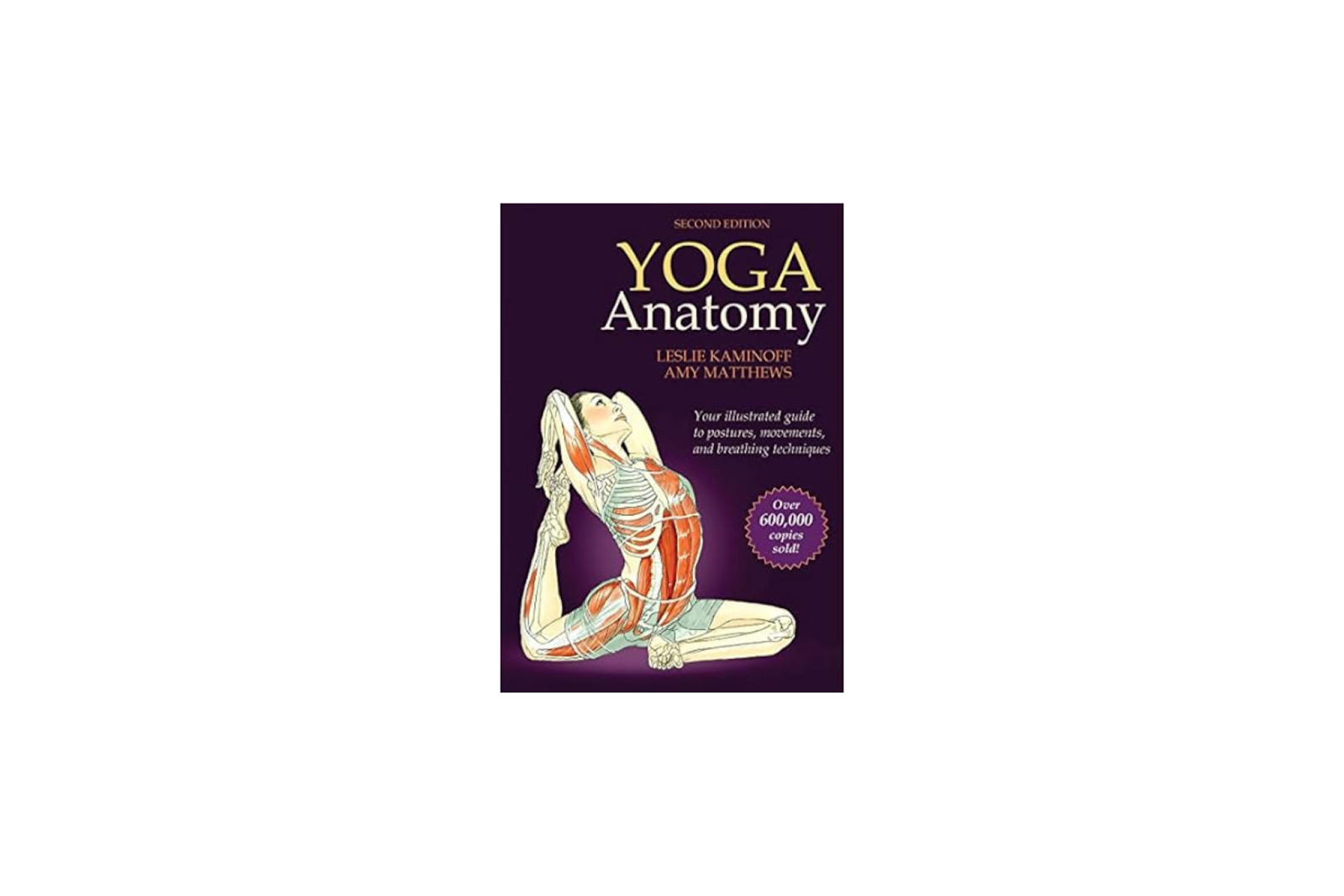 Yoga Anatomy by Leslie Kaminoff and Amy Matthews