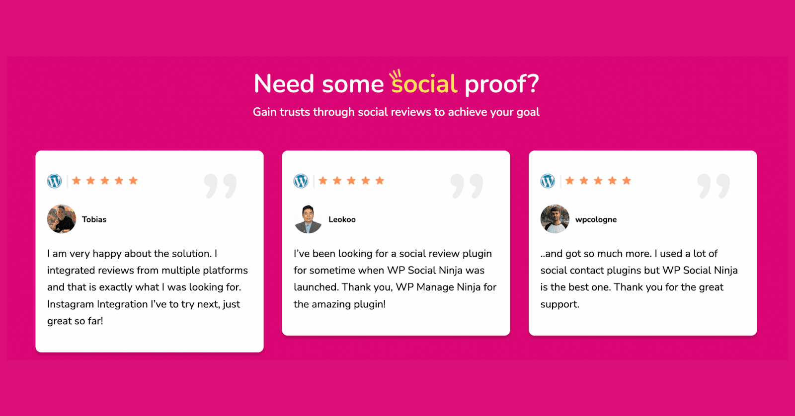 Testimonial (WP Social Ninja): Best curator.io alternative