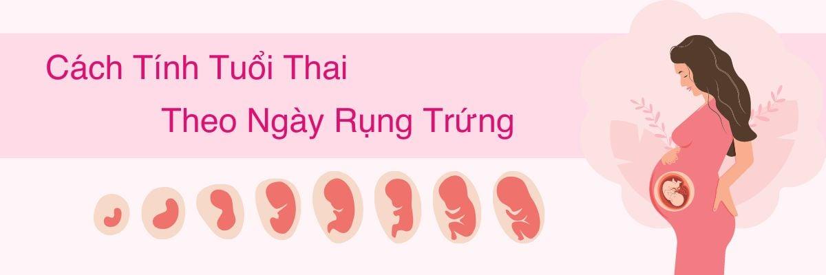 Cách Tính Tuổi Thai Theo Ngày Rụng Trứng Chính Xác Nhất - Kotex