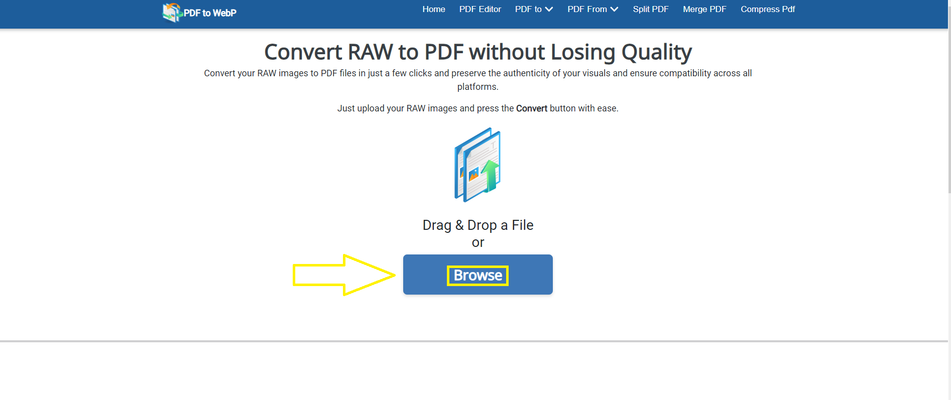 RAW To PDF