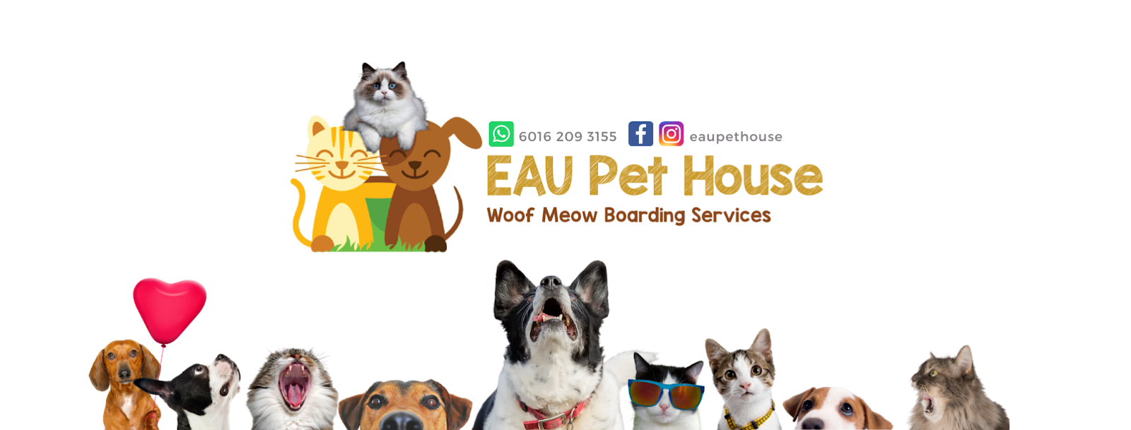 Pet Hotel in KL and Selangor