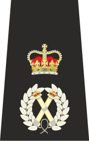 UK Police Chief Constable Epaulette