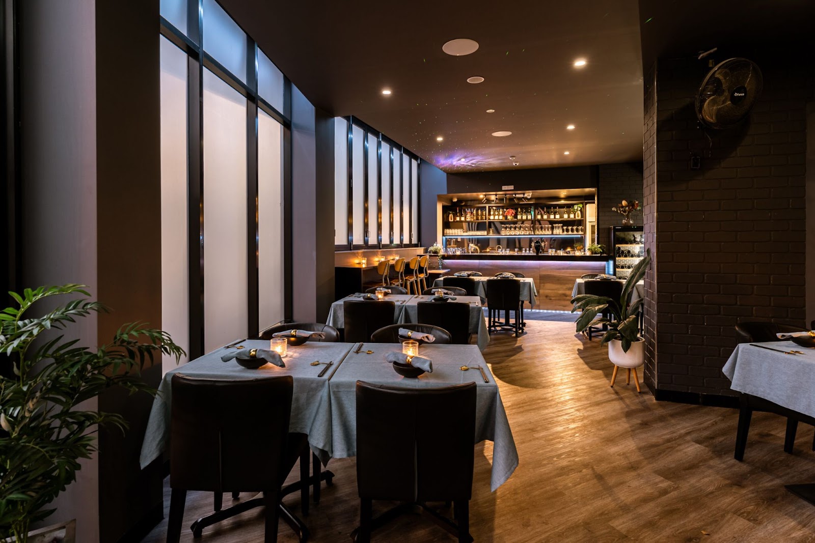 Magnolia Modern Chinese