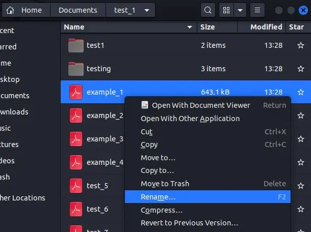 Rename Option in File Manager
