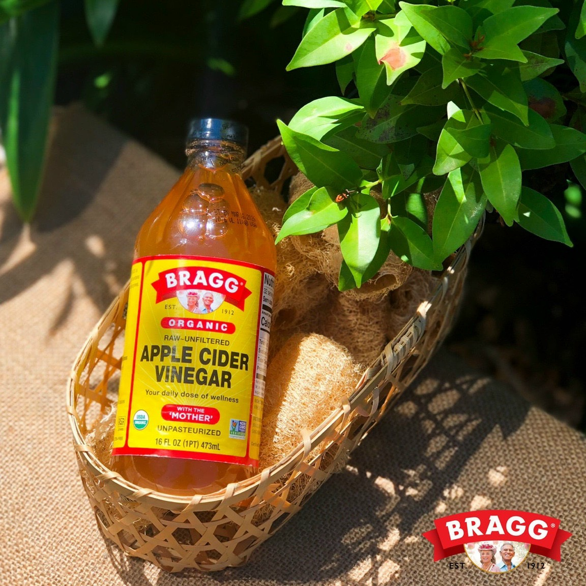 Giấm táo hữu cơ Bragg - Caracao Food