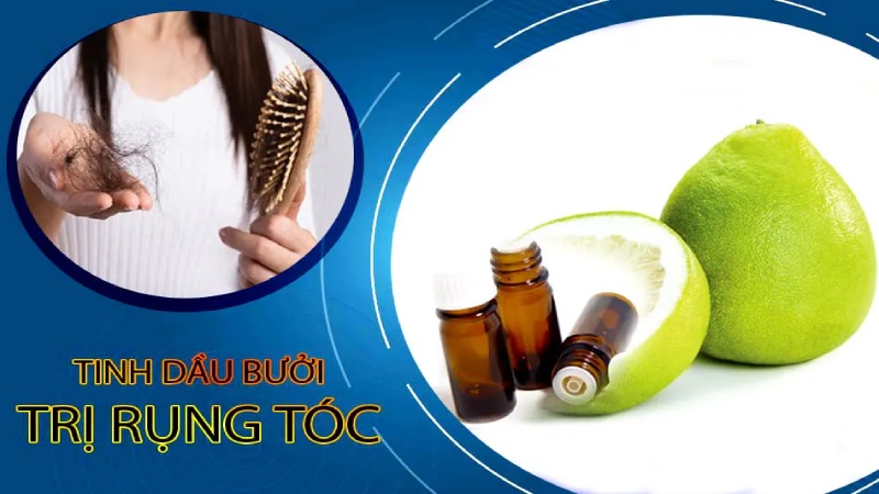 Trị hói đầu, nhanh mọc tóc bằng tinh dầu bưởi 