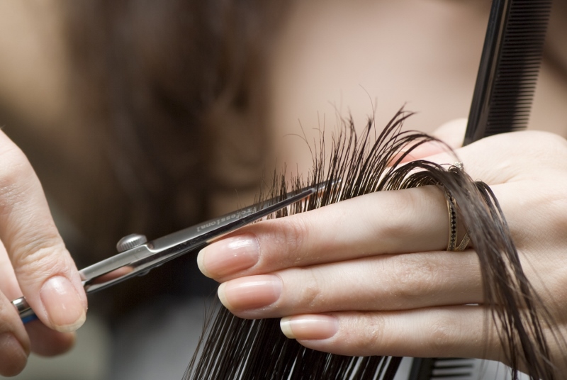 Trimming For A New You
