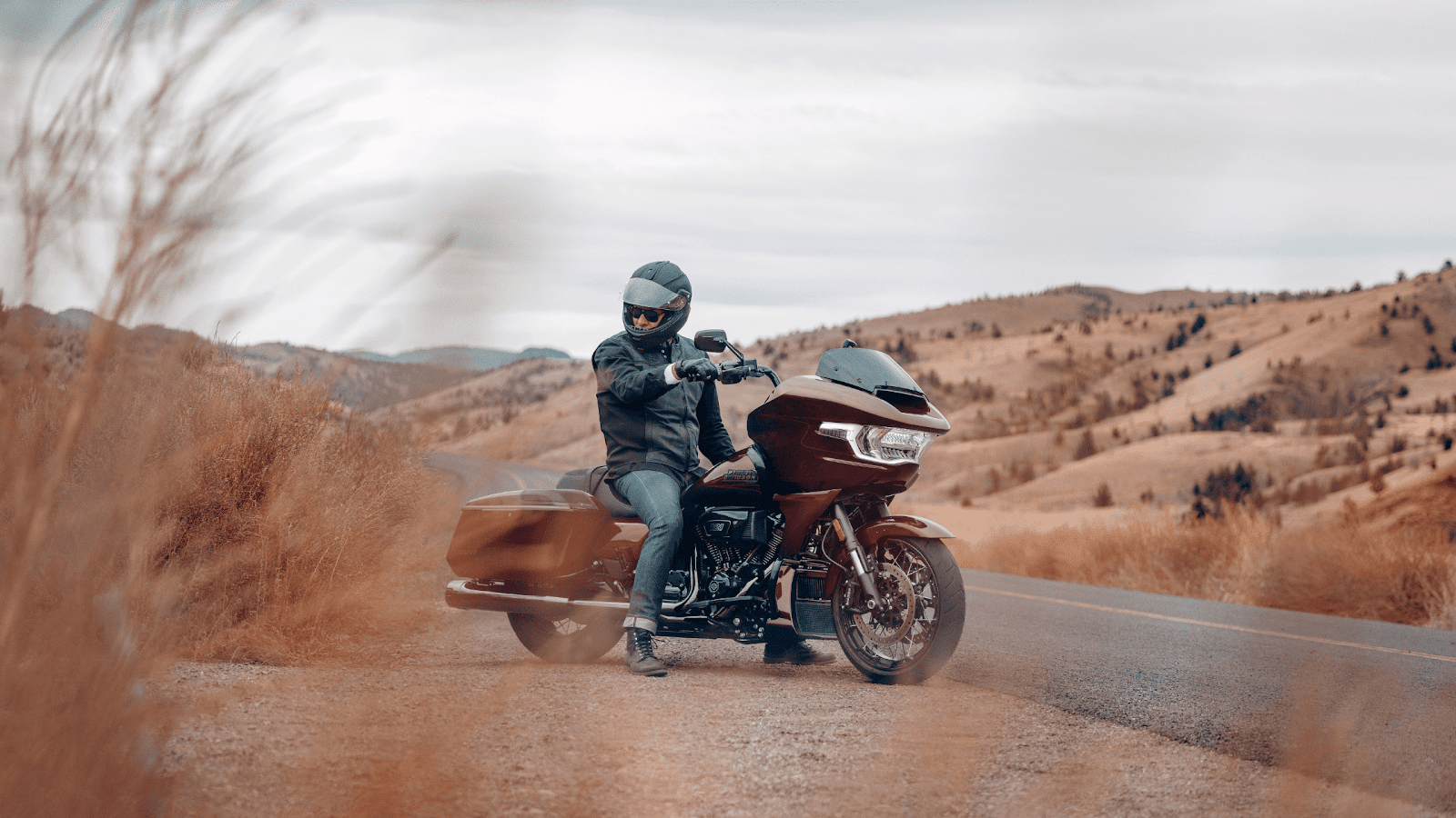 2024 Harley-Davidson® CVO™ Road Glide®