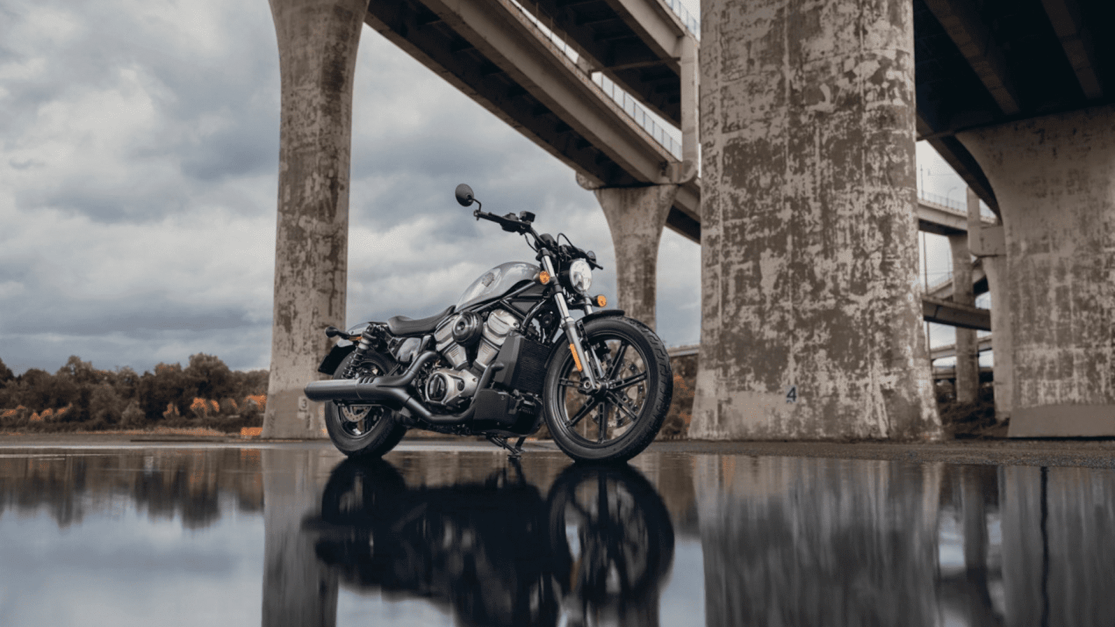 2024 Harley-Davidson® Nightster®