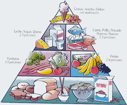 piramide alimenticia en ingles