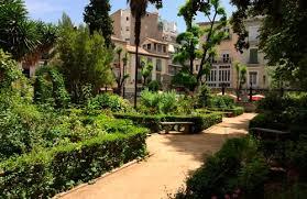 El Giraldillo - Visita guiada al Jardín Botánico de la Universidad de  Granada