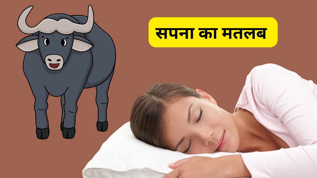 सपने में भैंस मारे तो क्या होता है