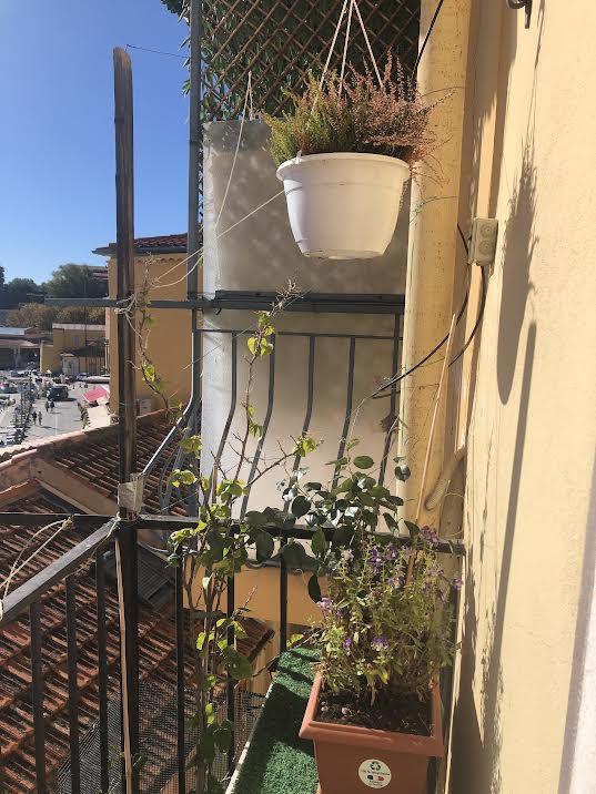 A balcony with plants on it

Description automatically generated