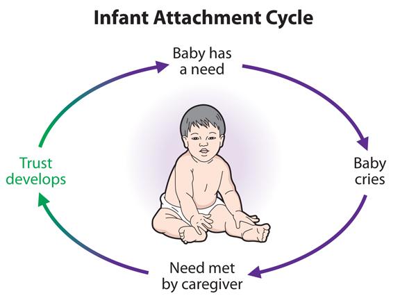 Diagram of a child attachment cycle

Description automatically generated