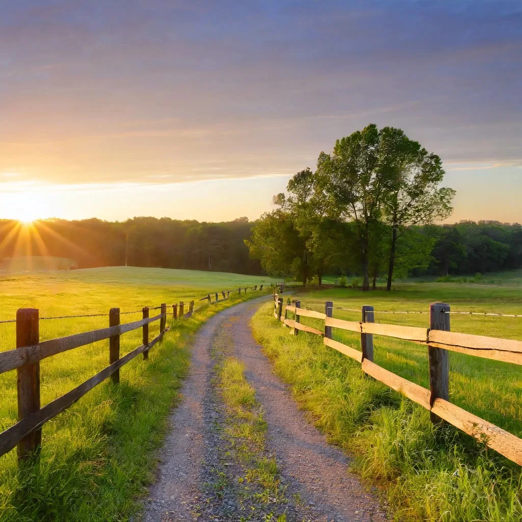 A rural scene at sunrise with a vibrant green pasture. A gravel path leads through the field, flanked by a wooden fence, leading towards a line of trees on the horizon.