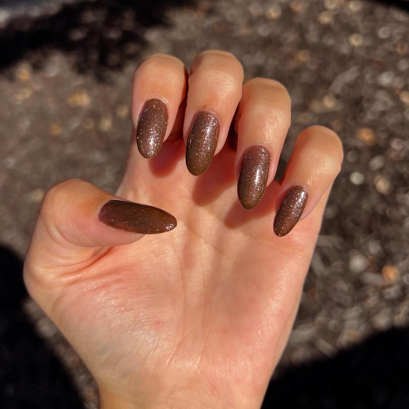 Fall Glitter Brown Nails