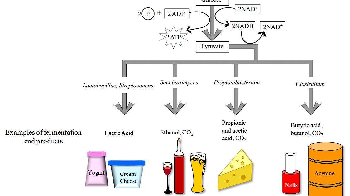 Three Things You Need to Know About Bioproducts