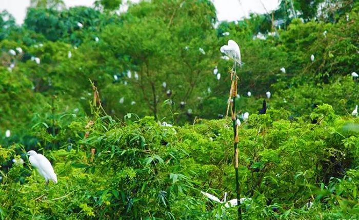 Địa điểm du lịch Sóc Trăng. Ở Sóc Trăng đi đâu chơi