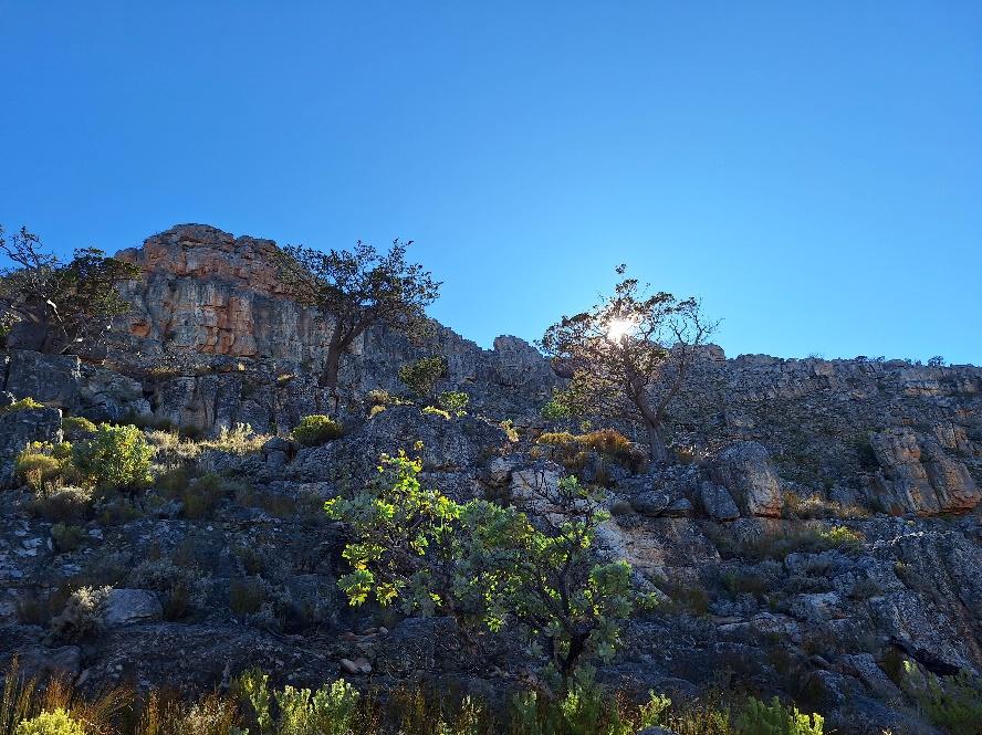 A rocky mountain with trees and blue sky

Description automatically generated