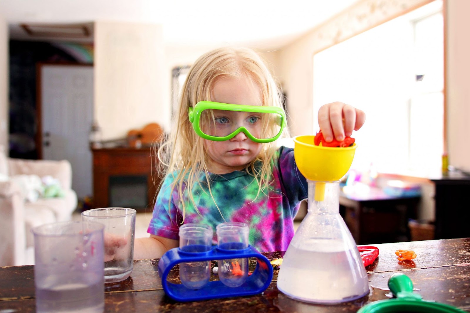 Creative Activities For Students Learning and Development - Science Experiments