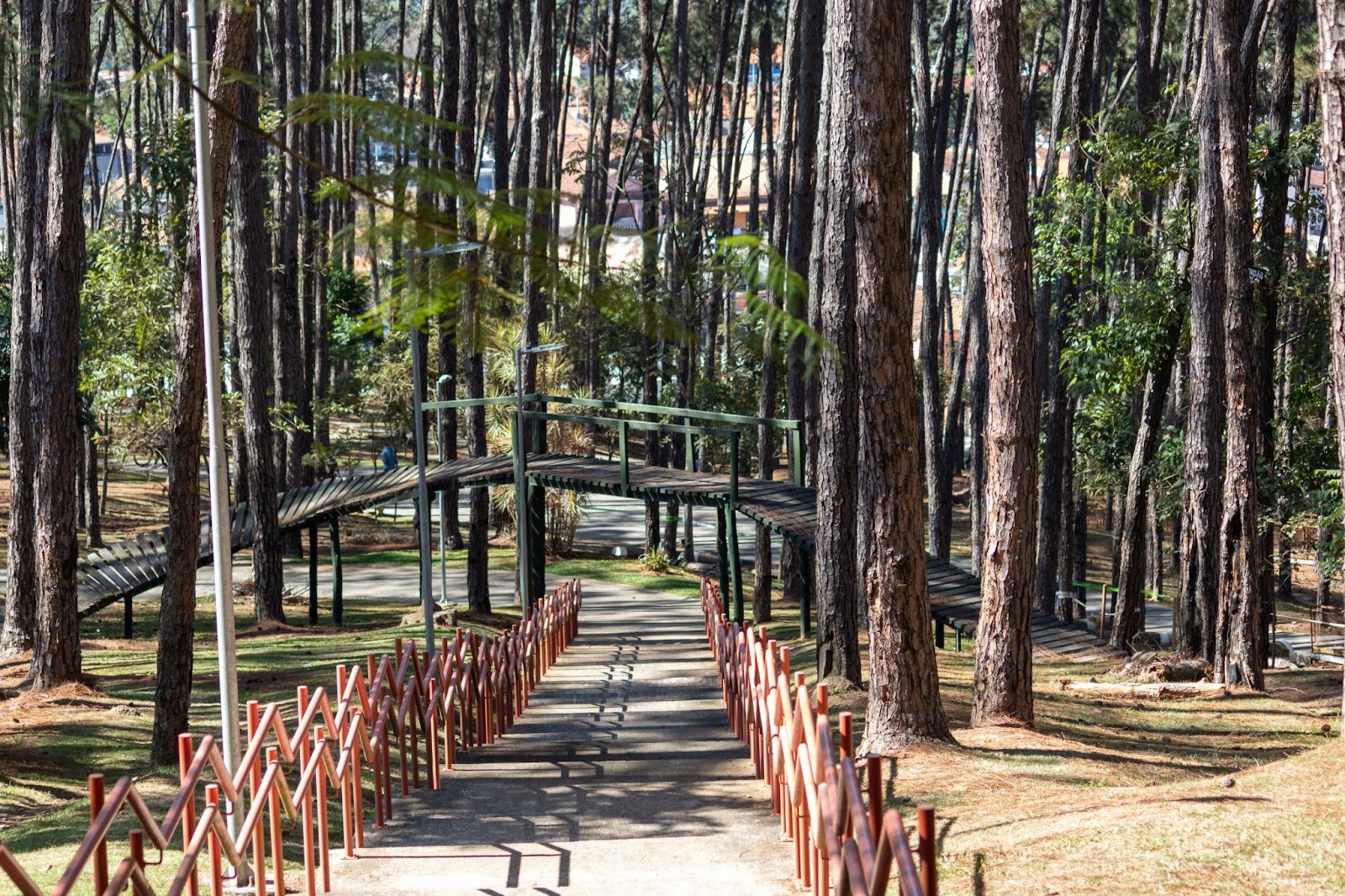 Pista de mountain bike em meio às árvores do Parque Alberto Simões, com ponte de madeira atravessando a imagem e uma pista em declínio centralizada.