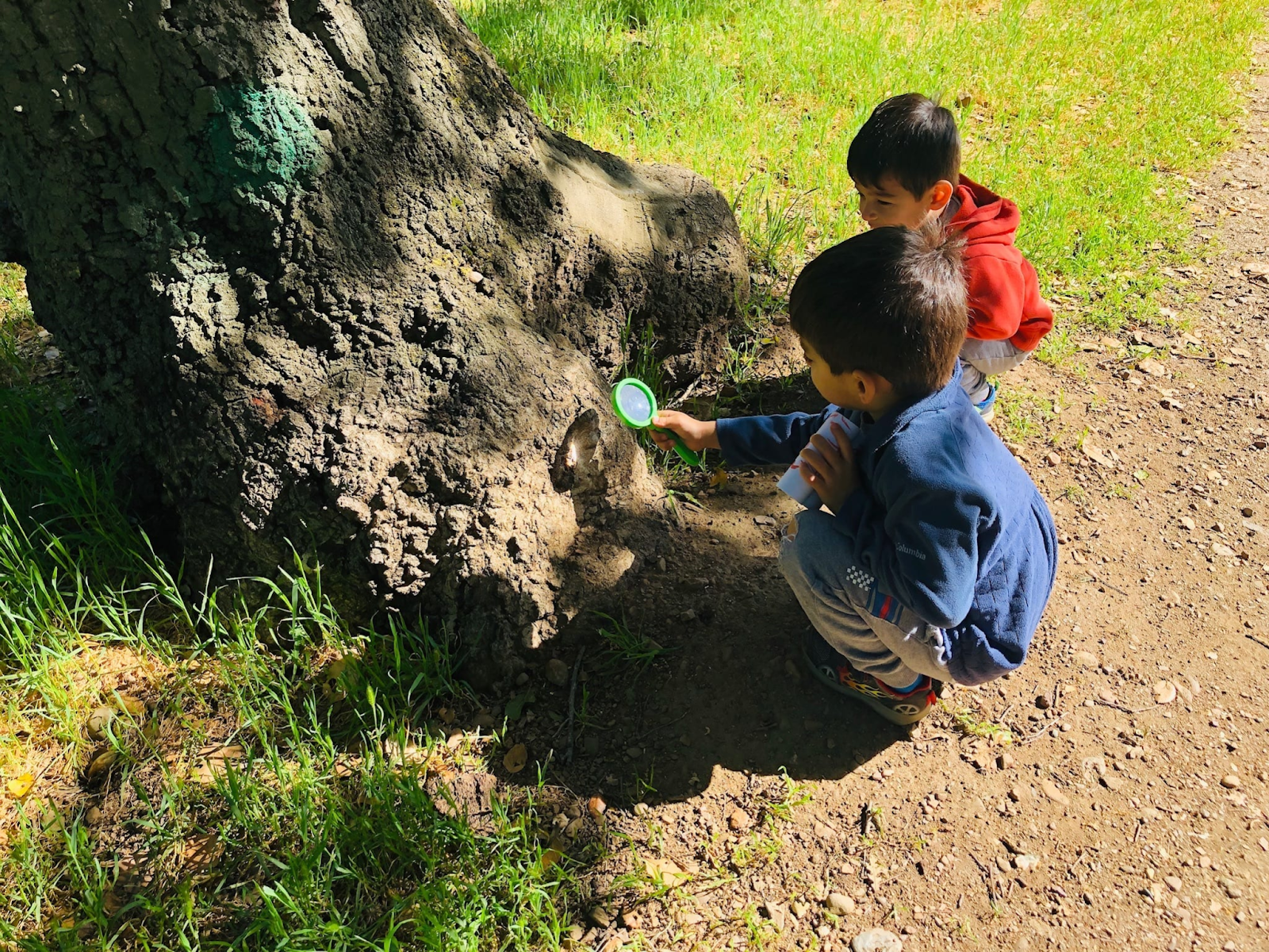 Latihan CrossFit untuk Anak-Anak - Nature Scavenger Hunt