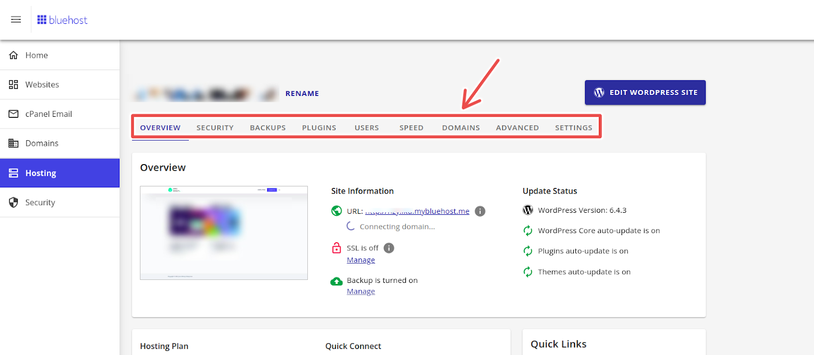 Bluehost website hosting settings