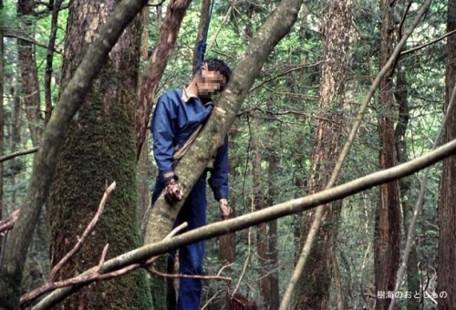 Japan's Forest of Death - eLanka