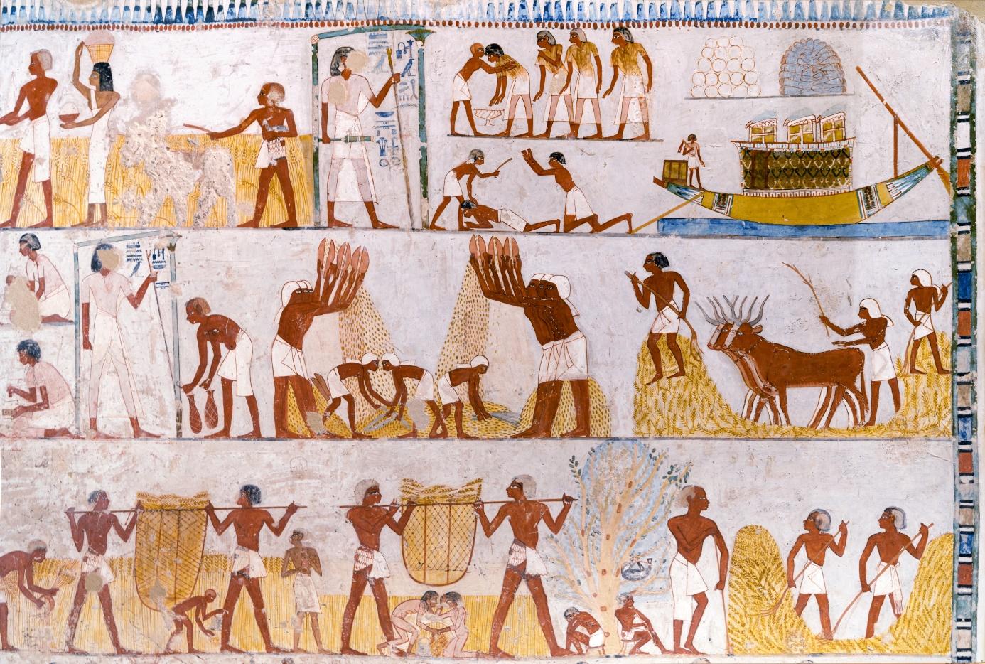 Egipt hieroglify, malowidła z czasów starego państwa, skarby starożytnego Egiptu
