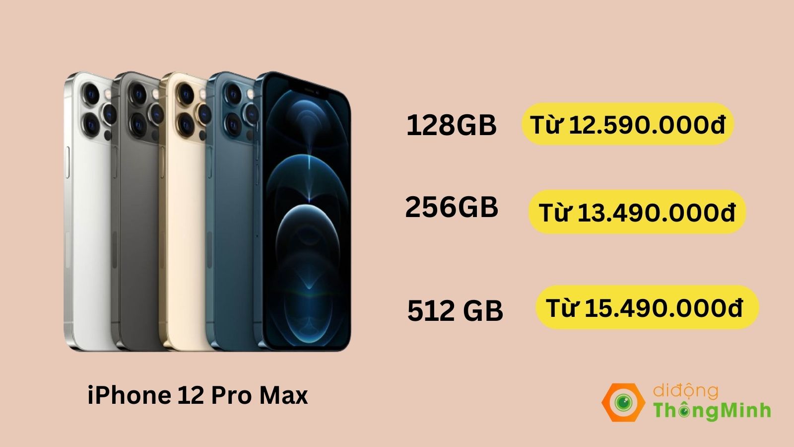 Bảng giá iPhone 12 Pro Max cũ tại Di Động Thông Minh