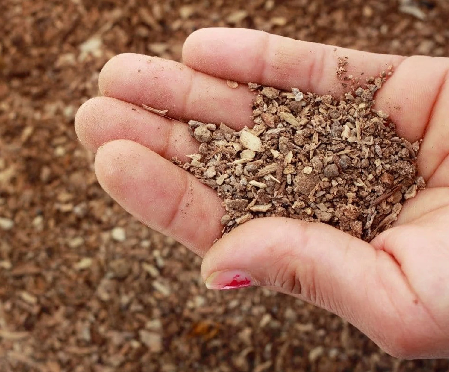 Bone Meal