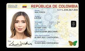 Imagen que contiene Texto Descripción generada automáticamente