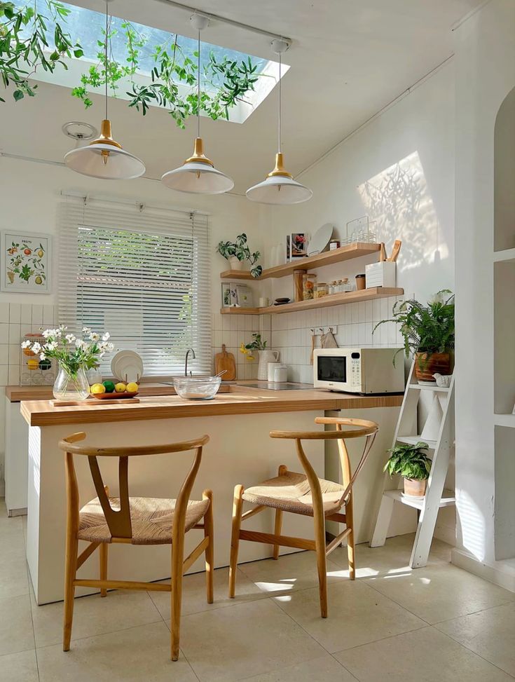 Desain dapur minimalis modern dengan tanaman