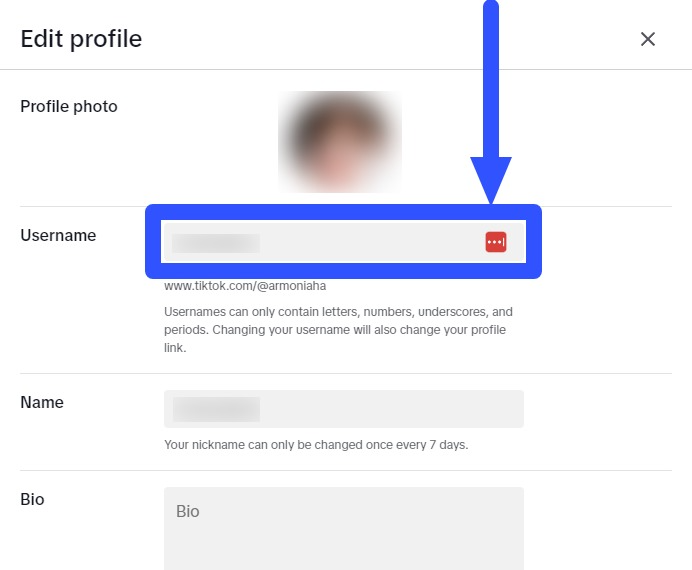 How to change tiktok username: Username field