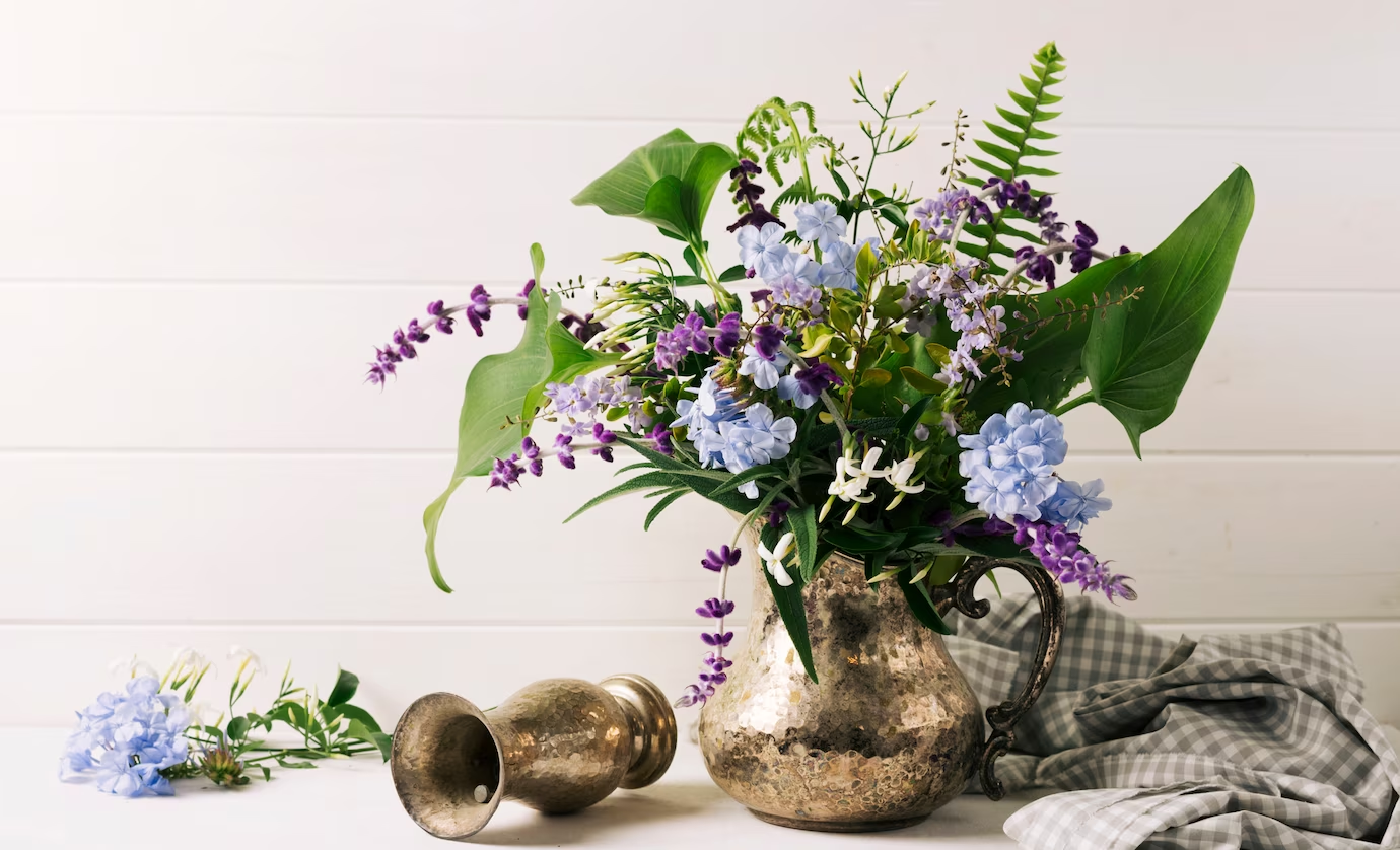 Lavanda - Curiosità