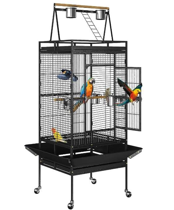 Nova Microdermabrasion 68-inch Large Play-Top Bird Cage