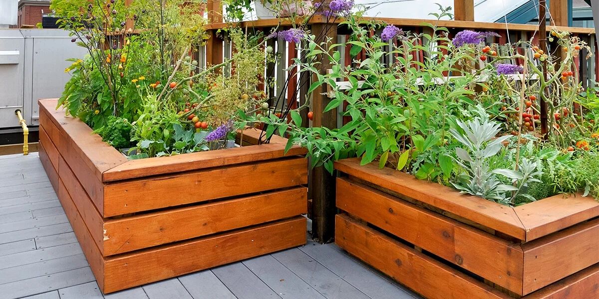 When should you avoid using a liner for your raised garden bed