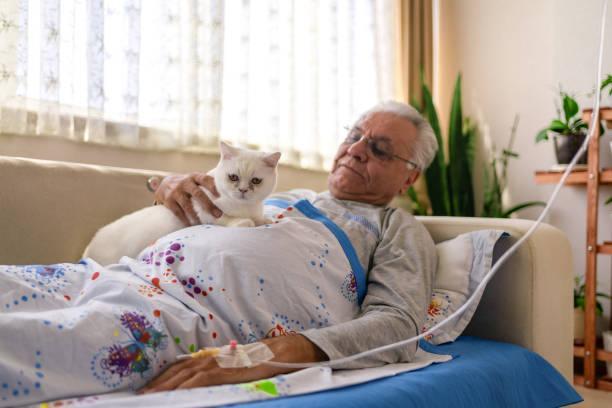 Male patient lying in bed, cuddling cat Male patient lying in bed, cuddling cat men adult diaper stock pictures, royalty-free photos & images