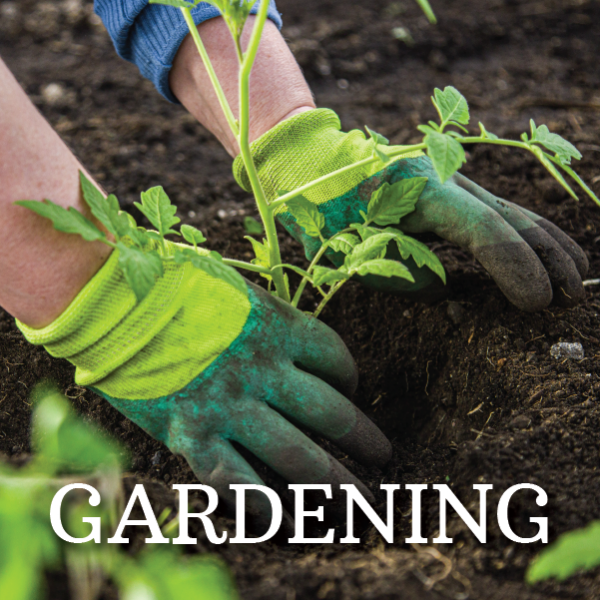 Container Gardening: Plant Your Own - Prince George's County Memorial  Library System