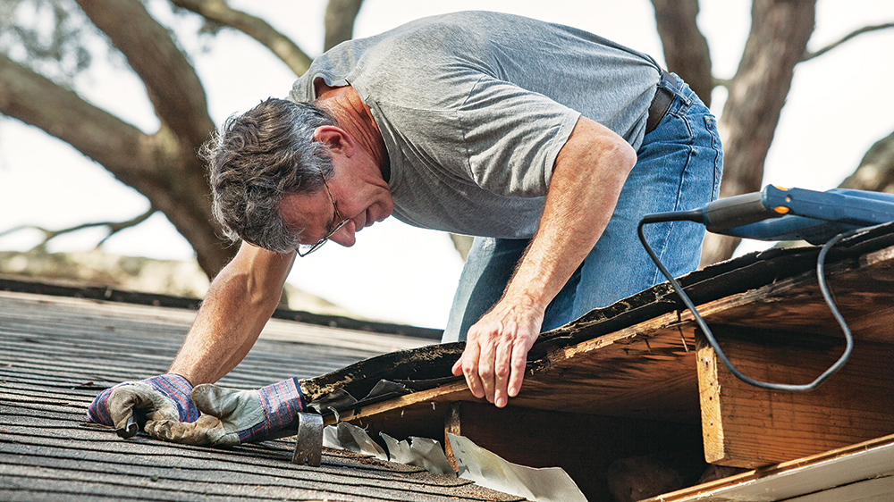 Home Maintenance Essentials