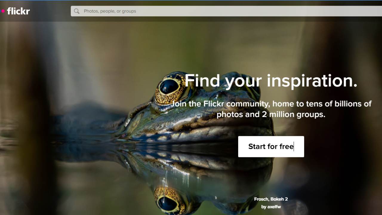 Top 17 Reverse Image Search Tools: Pricing Plans and Costs Softlist.io